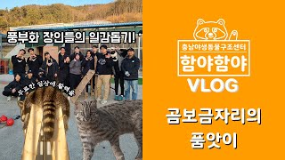 [VLOG] 곰보금자리의 품앗이