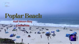 Poplar Beach 🏝️ / Half Moon Bay / California