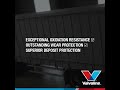 performance u0026 durability in one simple solution valvoline