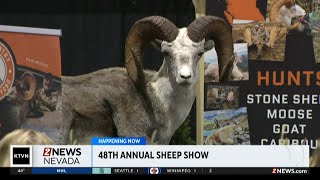 48th annual Sheep Show