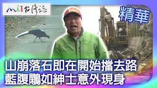 山崩落石即在開始擋去路　藍腹鷴如紳士意外現身｜南投縣信義鄉 麥覺明【 ‪‪‪‪ ‪‪‪‪‪‪‪‪‪‪‪‪‪‪‪‪‪‪‪‪‪‪‪@ctvmit  664集】