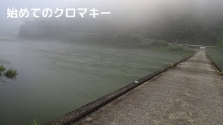 高知　仁淀川　越知町　黒瀬　片岡沈下橋　朝の風景