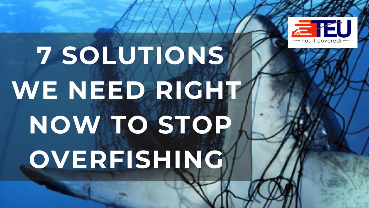 Overfishing Solutions