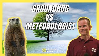 Who Knows Spring Better, a Groundhog or a Meteorologist?