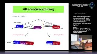 G. Ast  - How chromatin organization and epigenetics talk with alternative splicing