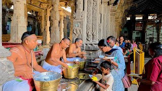 Prasadam Distribution 16.2.2025 Sri Natarajar Temple Chidambaram Deekshithars Tamilnadu india