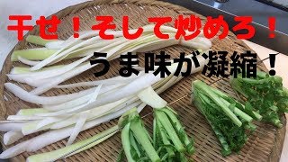 まかないチャレンジ！　無駄なし！大根の皮できんぴら