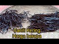 Harga Vanili Saat Ini ||Harga Sesuai Kering & Jenisnya