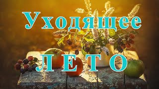 УХОДЯЩЕЕ  ЛЕТО! Люди жгут на кострах уходящее лето.И частичку души, и немного себя.  ВАМ ХВАТИЛО ЛЕТ