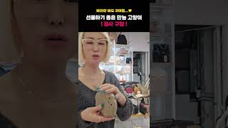 [끝장언니 Live] 집사 구함!!! 만능 고냥이 파우치🎀 #가방추천 #라이브