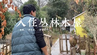 边流浪便旅行的生活，今天入住丛林木屋，坐在秋千上思考人生