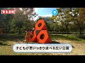 住みたい！かがわ移住予報（短縮版・高松市編）《香川県》