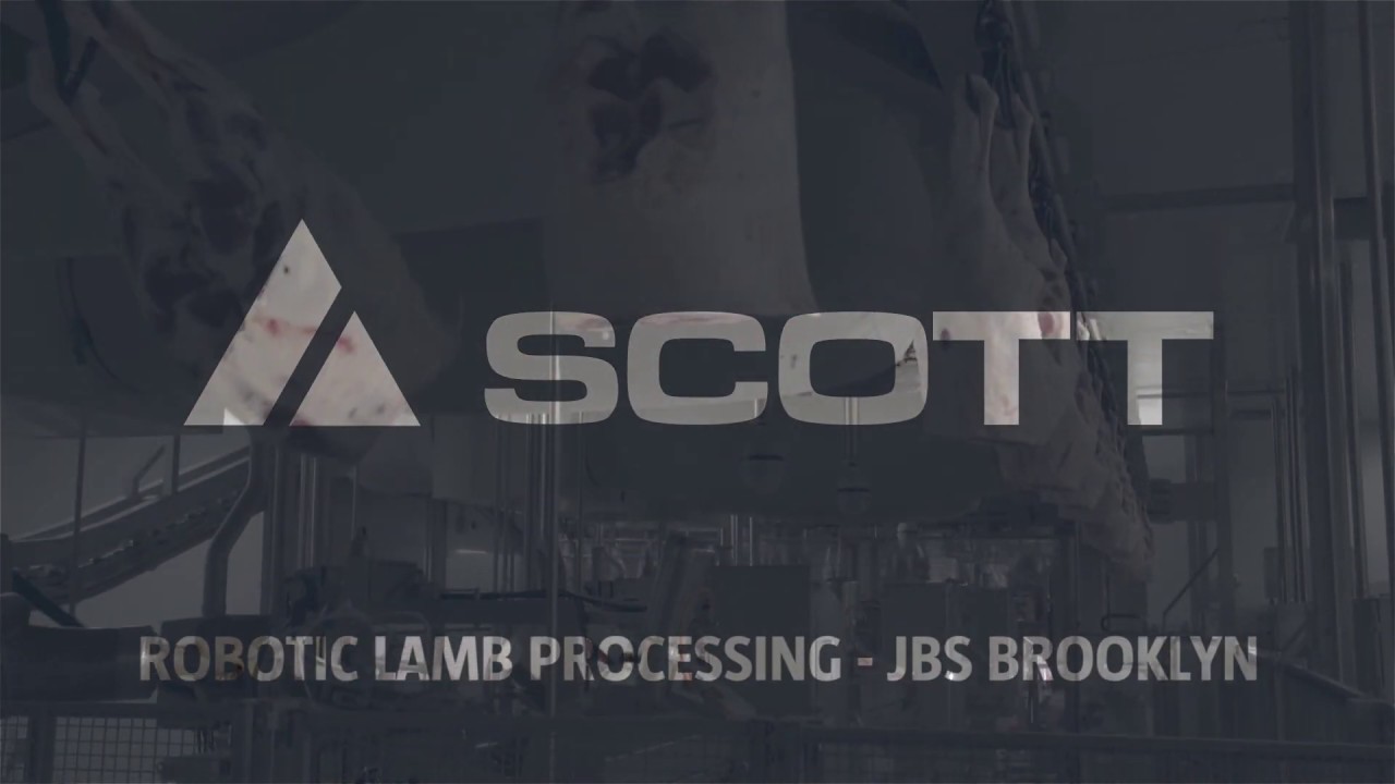 Automated Lamb Processing At Jbs Brooklyn Youtube