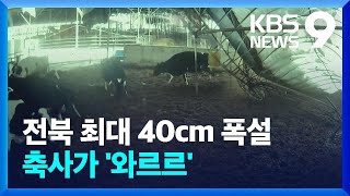 ‘습설’에 축사 ‘와르르’…40cm 안팎 폭설에 전북 곳곳 피해 [9시 뉴스] / KBS  2025.01.29.