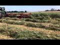 elsworth family farms — mower conditioning oaten hay