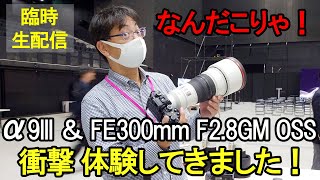 なんだこりゃ！α9III ＆ FE 300mm F2.8GM OSS 衝撃的体験をしてきました！