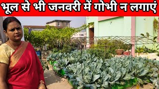 भूल से भी जनवरी में इन सब्जियों को ना लगाएं भारी नुकसान हो जाएगा#viralvideo#gardenfertilizer#garden