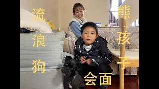 武汉小学要开学了，熊孩子与流浪狗也会面了