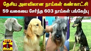 தேசிய அளவிலான நாய்கள் கண்காட்சி...59 வகையை சேர்ந்த 603 நாய்கள் பங்கேற்பு  | Nilgiris | Dog Show