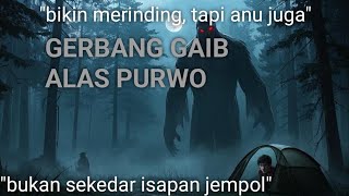 Gerbang gaib Alas Purwo #mitos #misteri #kisahoror