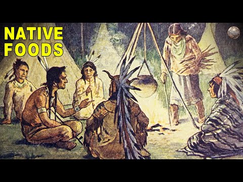 What food did the Chippewa eat?