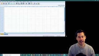 Stats Apps Tutorials: 5. Descriptive statistics in Excel, JASP, SPSS, and R