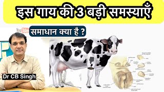 इस गाय की तीन बड़ी समस्याएँ | HF Cow | Dairy Farm | Dr CB Singh | Dairy Ustaad