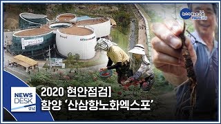 2020 현안점검] 함양 '산삼항노화엑스포' [MBC경남 뉴스데스크] 200114