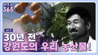 [레트로365] ep5 30년 전 강원도의 우리 농산물!