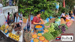 ເລາະຊື້ຂອງຝາກຈາກຕະຫລາດເຊົ້າຫລວງພະບາງ/เลาะชื้อของฝากจากตลาดเช้าหลวงพระบาง/Buying traditional food