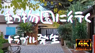 【4K 60fps Italia】動物園へ行って見たのだが。。。。