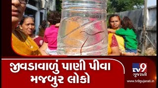 Insects in tap water, Navapura residents fume | Vadodara - Tv9GujaratiNews