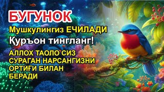 Ушбу дуони тинглаб Аллохдан ихлос билан сўранг СИЗ КУТМАГАН ЖОЙДАН БОЙЛИК ОҚИБ КЕЛАДИ ИН ШАА АЛЛОХ.