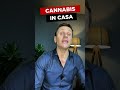 CANNABIS in casa | Avv. Angelo Greco #shorts