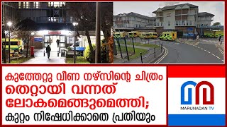 മുഹമ്മദ് റോമന്‍ ഹെകിനു വേണ്ടി ജാമ്യാപേക്ഷയും എത്തിയില്ല | no bail application for Muhammad Roman Hek