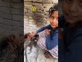 village life 😍 trending youtubeshorts villagelife rajasthan rajasthani desertcity culture yt