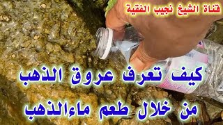 معرفة الاحجارالحامله الذهب |معرفة ماء معدن الذهب |صهر الخام بالفرن الحث الذاتي |تنقيه الذهب بالنتريك