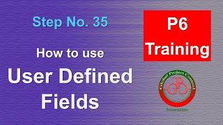🔴 How to use User Defined Fields (UDF) in Primavera P6