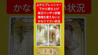 おみくじ的タロット占い「上からはプレッシャー、下からは突き上げられる毎日で、精神的にマズい状況」