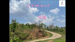 လင်းခေးအဝင် - ဘိုဖြူ