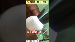 鸚鵡啄蛋啄點 破殼點：鸚鵡從破殼🐣到嗷嗷待哺...