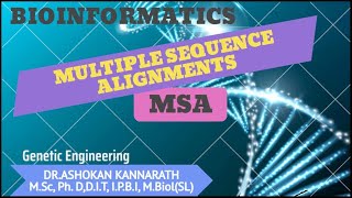 Multiple Sequence Alignments (MSA)