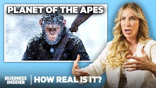 Ape Expert Rates 10 Monkey And Ape Attacks In Movies And TV | How Real Is It | Insider