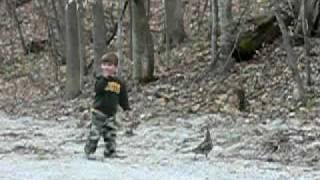 Playing tag with a ruffed grouse.