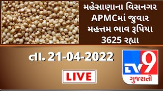 Mandi: મહેસાણાના વિસનગર APMCમાં જુવાર મહત્તમ ભાવ રૂપિયા 3625 રહ્યા | Tv9News