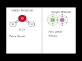 polar vs non polar bonds explained chemistry essentials 12000