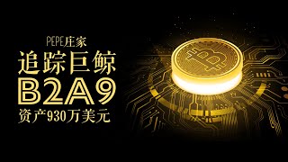 追踪PEPE操盘手钱包B2A9｜资产