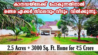 കാനഡയിലേക്ക്  പോകുന്നതിനാൽ  2.5 Acres and 3000 Sq. Ft. House for Sale in Pala @meenachilHomes