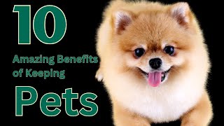 Top 10 Amazing Benefits of Having Pets! #dogsandcats #petlove #petsandanimals