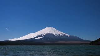 山中湖からの富士山、たっぷりの冠雪